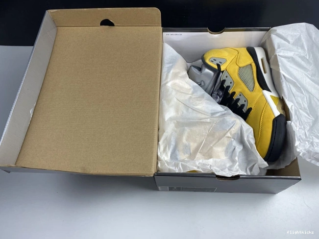 454783-701 Tokyo Air T23 5 Jordan Retro 1008